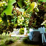 Casa Natura Galicia Alojamento de Acomodação e Pequeno-almoço Santa María La Mayor del Rosario