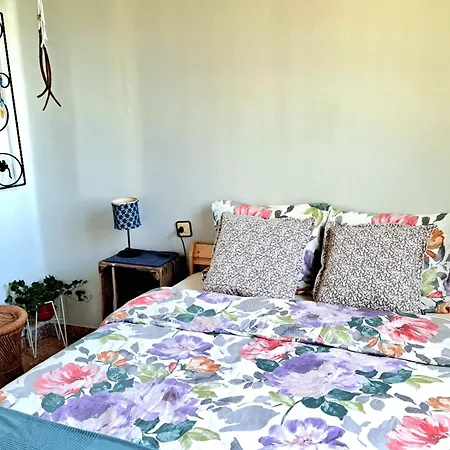 Bed & Breakfast Casa Natura Galicia San Saturnino