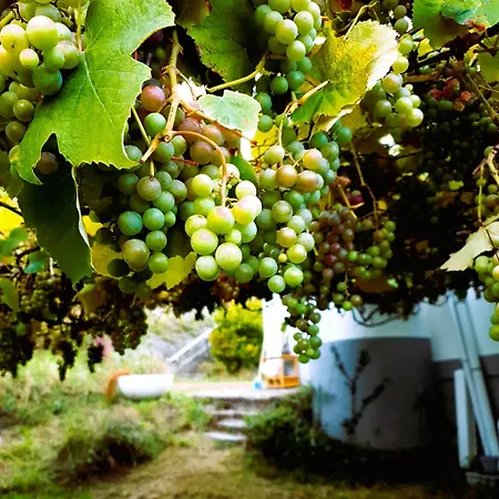 Casa Natura Galicia Bed & Breakfast San Saturnino