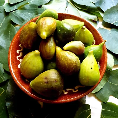 Casa Natura Galicia San Saturnino